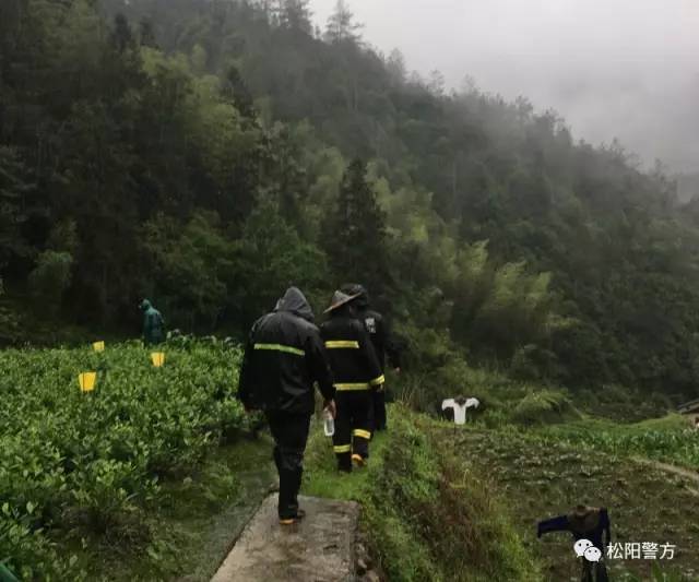 苍王山村民委员会天气预报更新通知