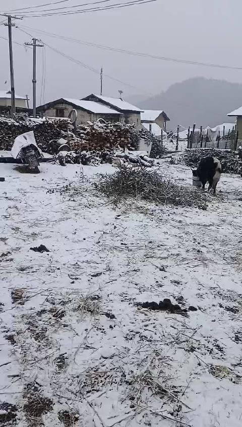 贡塔雪村今日天气预报更新通知