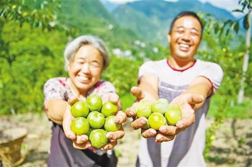 徐家村委会天气预报更新通知