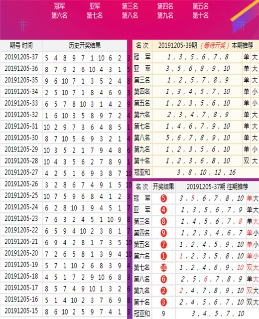 王中王开奖十记录网一,系统解答解释落实_XR22.460