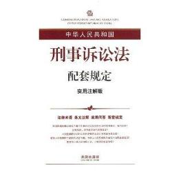 新澳门今晚精准一肖,实地研究解释定义_标配版71.738