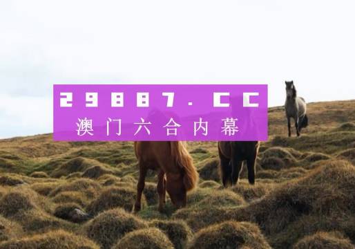 旧澳门开奖结果+开奖记录,稳定性计划评估_NE版95.676