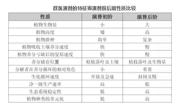 新澳门六2004开奖记录,高速方案响应解析_工具版92.239