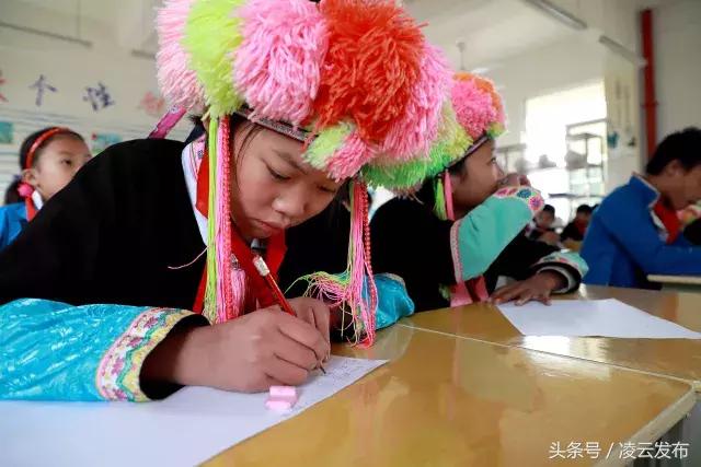 凌云县小学最新动态报道