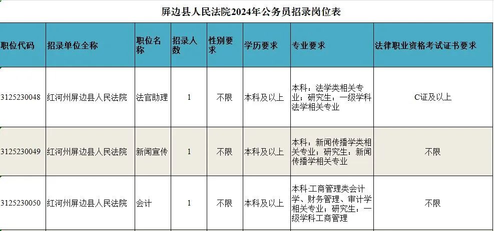 芷江侗族自治县数据和政务服务局招聘公告解析