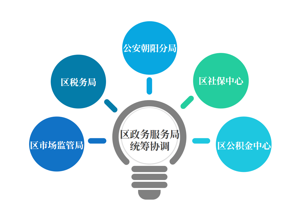 朝阳区数据和政务服务局最新发展规划深度解析