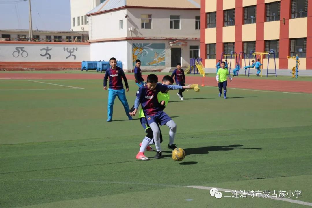 河南蒙古族自治县小学新项目，引领教育革新，点亮未来之光