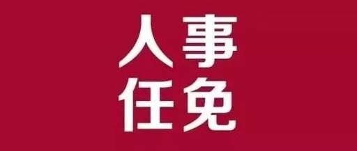 沧县审计局人事任命揭晓，新任领导将带来哪些深远影响