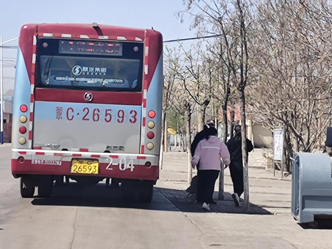 苏海图街道最新动态报道