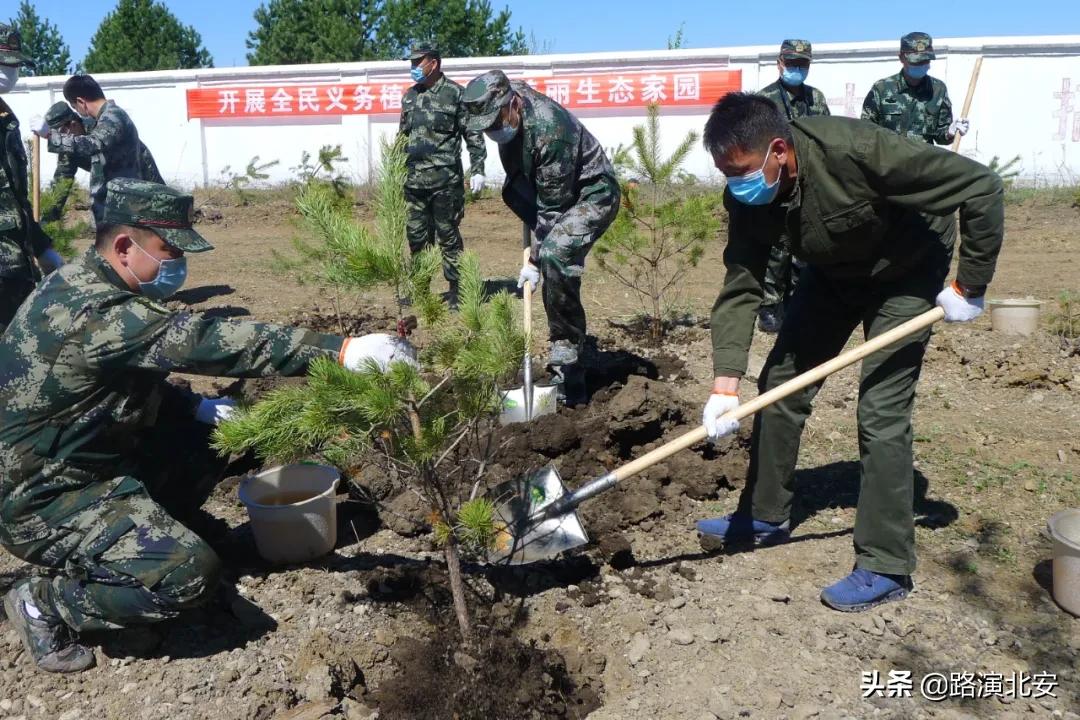 卡伦山林场最新新闻动态报道