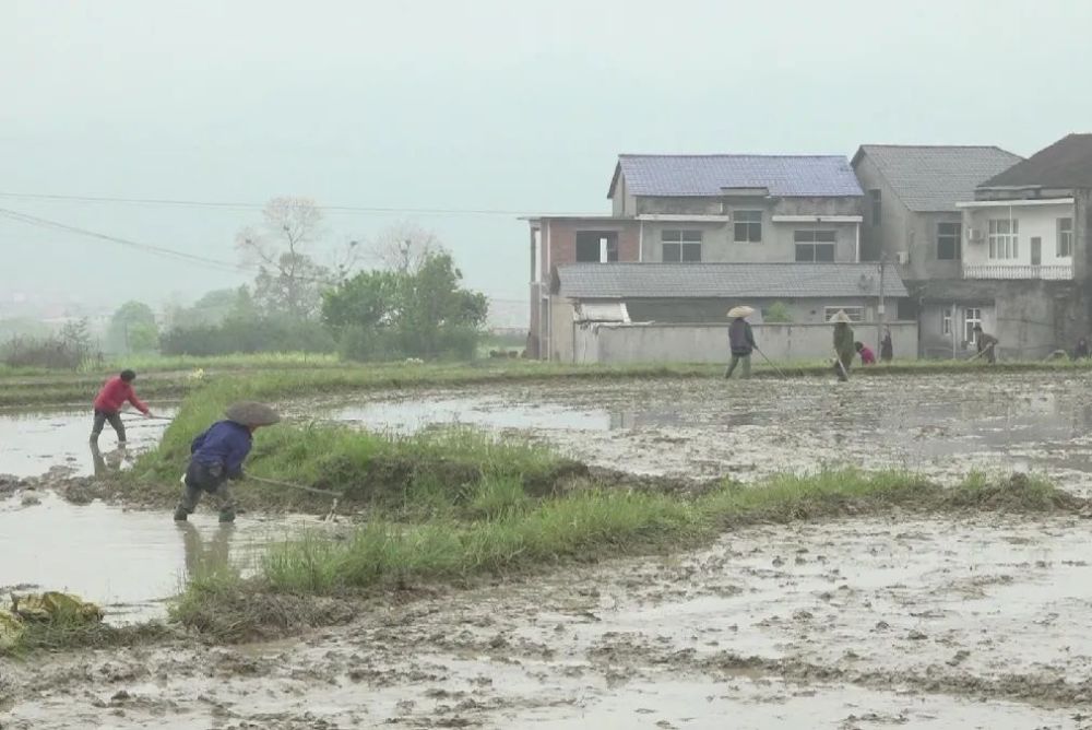 岩泊渡镇最新天气预报