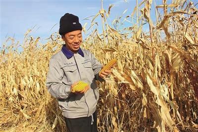 大兴安岭农场宜里农场人事任命最新动态