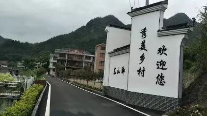 董家岭村委会发展规划概览