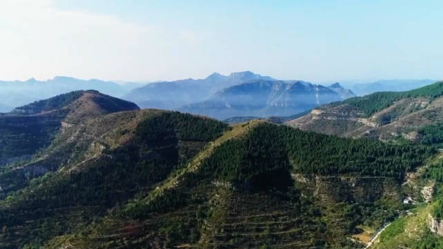 王坟镇最新项目，引领地区发展的强大引擎