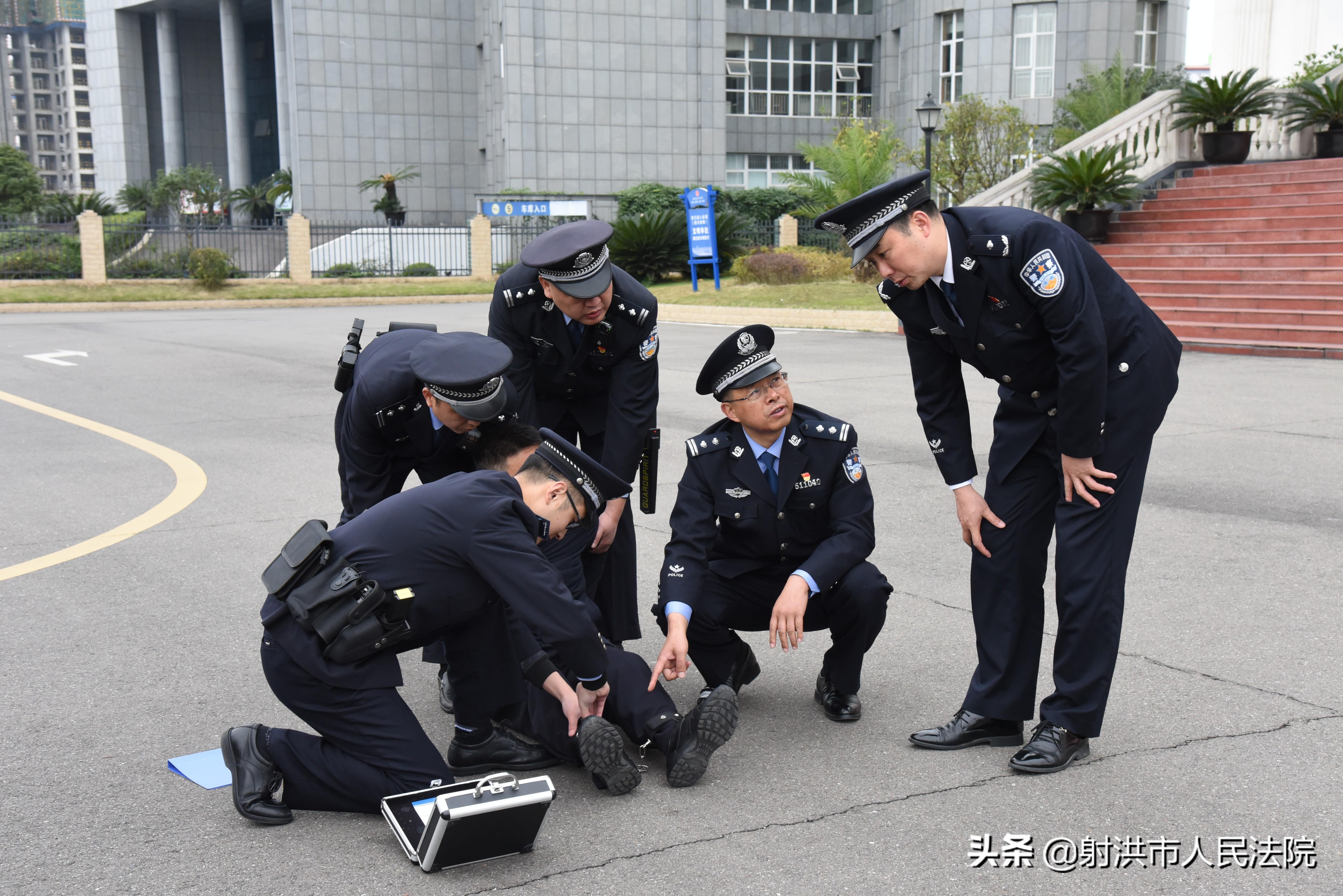 射洪县人民政府办公室发展规划概览