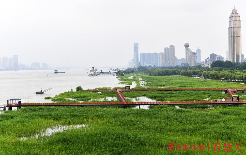 新城区街道最新天气预报