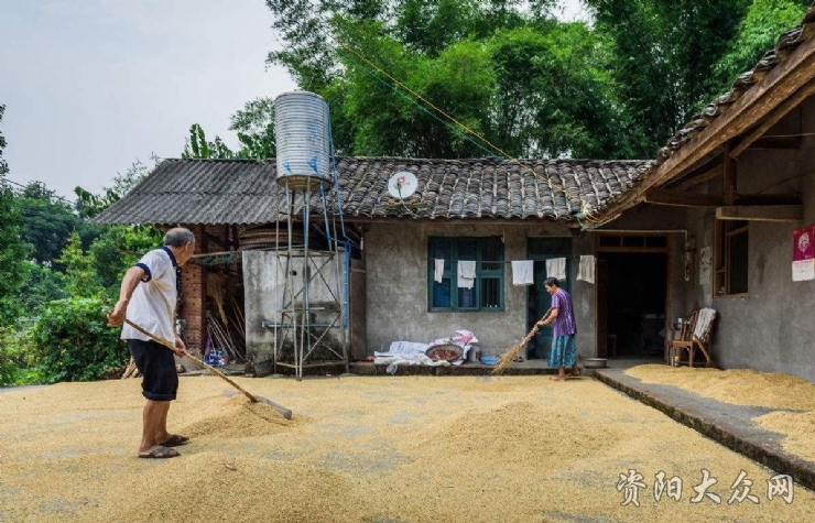 泛区农场虚拟乡人事任命大调整，影响与展望