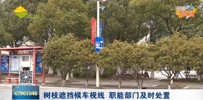 亭旁镇交通状况持续改善，助力地方经济发展新动态