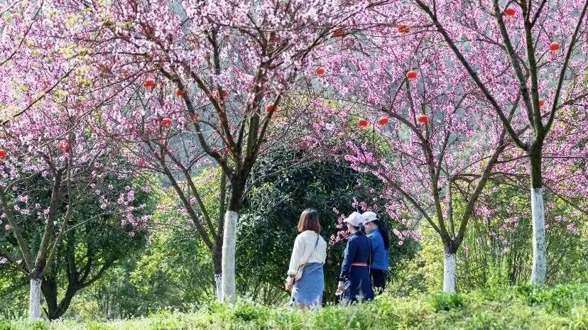 吉安市园林管理局领导最新概况简介