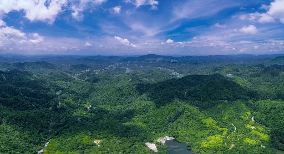 甘坑林场天气预报更新通知