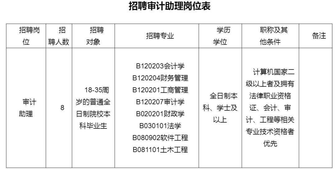 濠江区审计局最新招聘公告详解