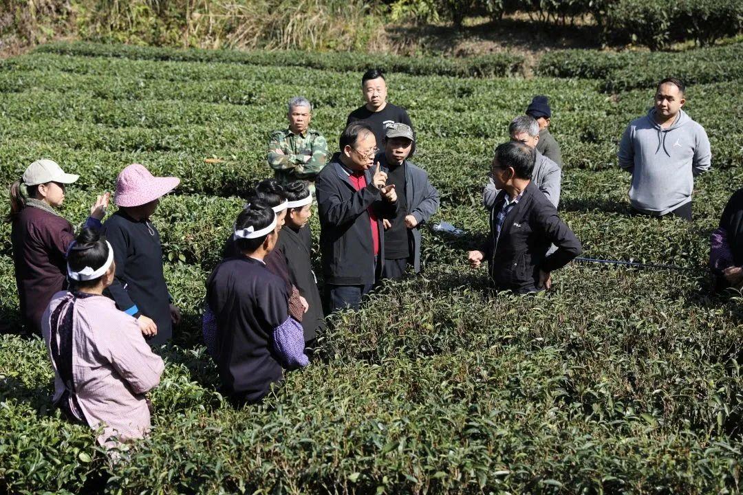 三江侗族自治县科学技术和工业信息化局招聘启事概览