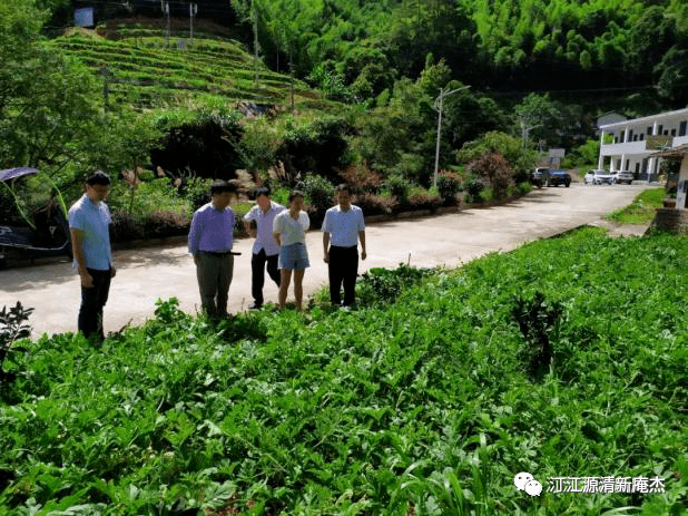 庵杰乡新项目，引领地区发展的强大动力源泉