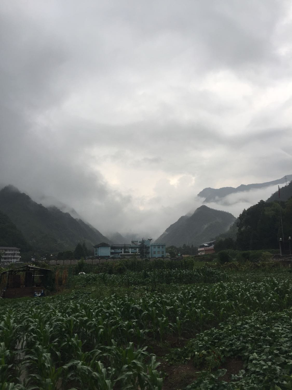 芦坪乡天气预报更新通知