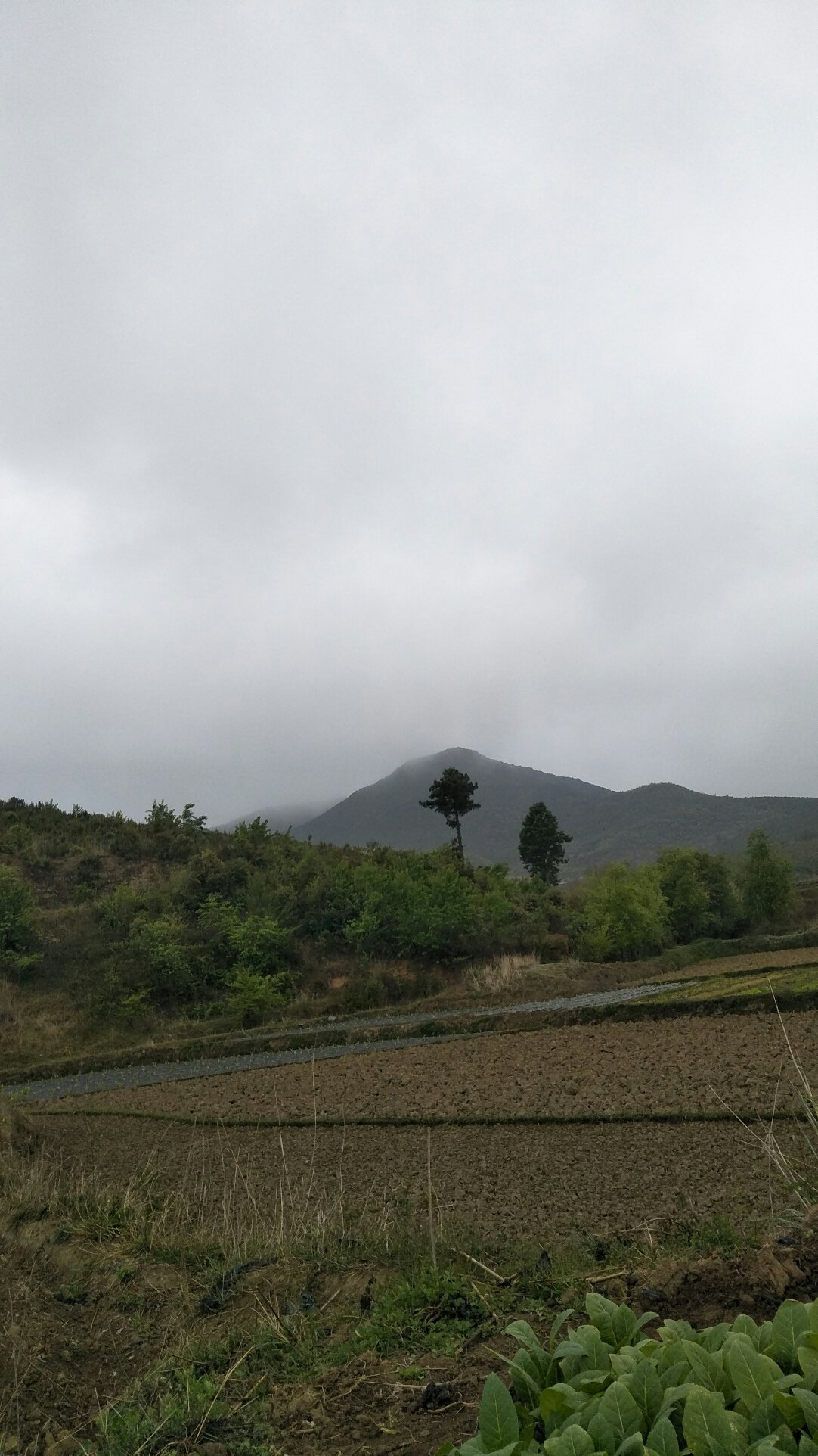 大滩乡最新天气预报通知